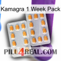 Kamagra 1 Week Pack cialis4